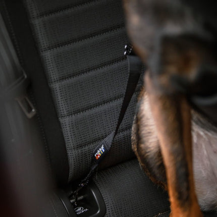Car Seatbelt Clip