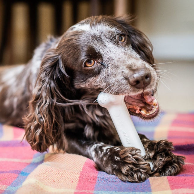 Extreme Chew Chicken Bone