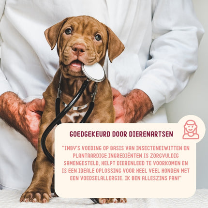 Gastrointestinal Insect-based Dry Food