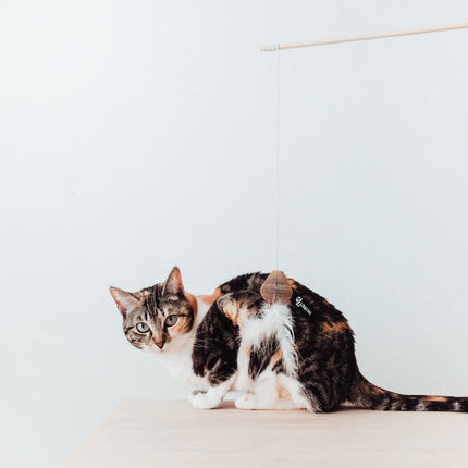 SMASH Kattenhengel