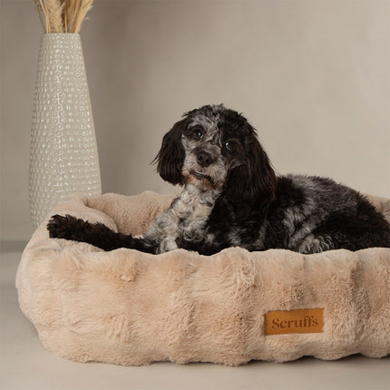 Alpine Box Bed