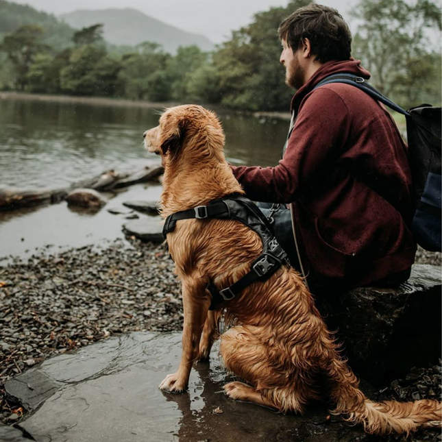 Journey Air Harness