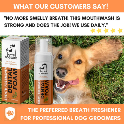 Dental Foam