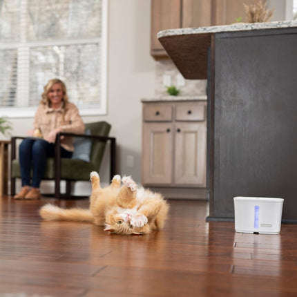 Viva™ Pet Fountain 1.8 L