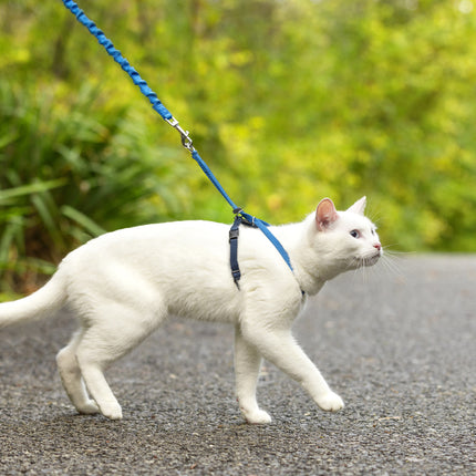 Easy Walk Cat Harness with Bungee Leash
