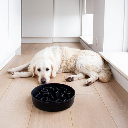 BAMBOO Slow Feeder voor Honden