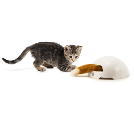 Fox Den Toy Automatic Cat Teaser