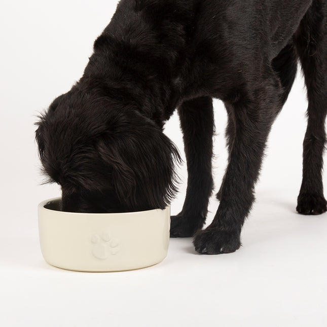 Icon Pet Food Bowl