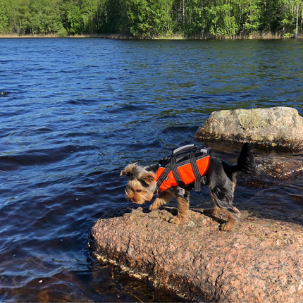 Sicherheitsschwimmweste