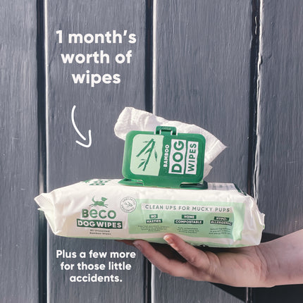 Bamboo Dog Wipes - Unscented - 80 Pack
