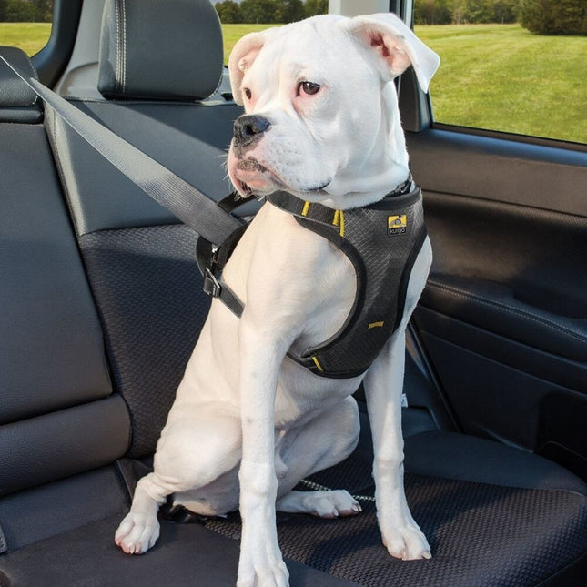 Impact Dog Car Harness