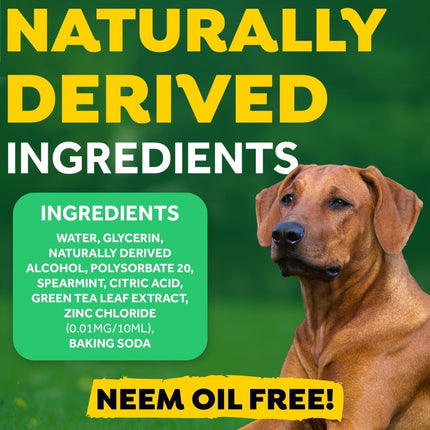 Fresh Breath - Oral Care Foam voor honden
