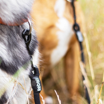 Adjustable Double Dog Leash