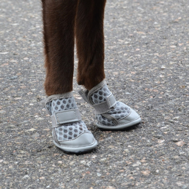 Summer Shoes 2-pack