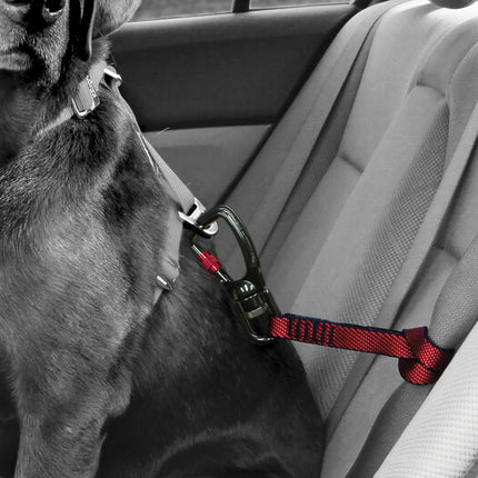 Swivel Tether Autosicherheitsgurt - Rot