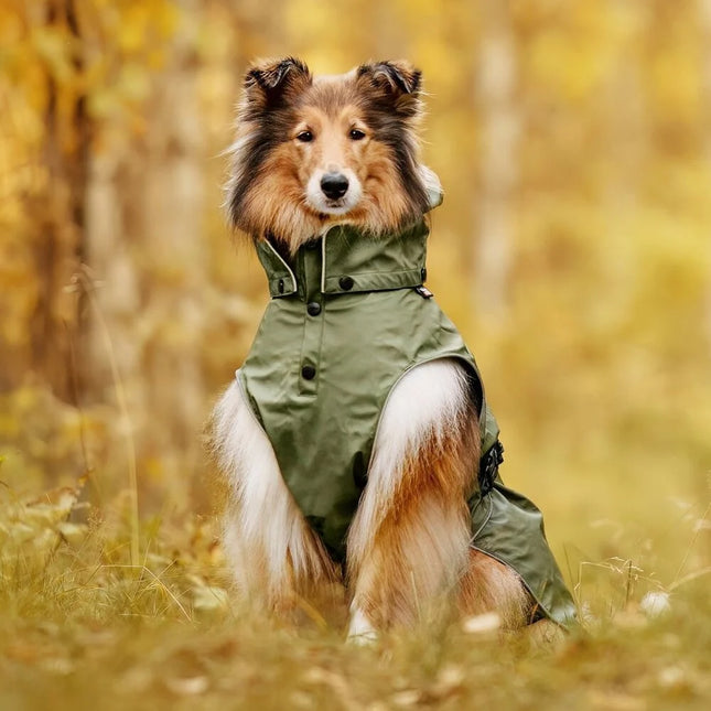 Streamy X Raincoat