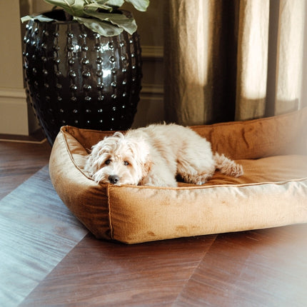 SHIMMER Box Bed