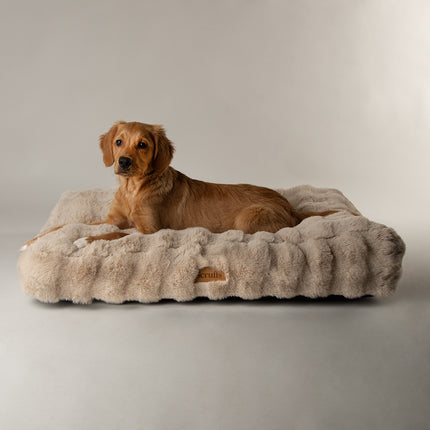 Alpine Mattress