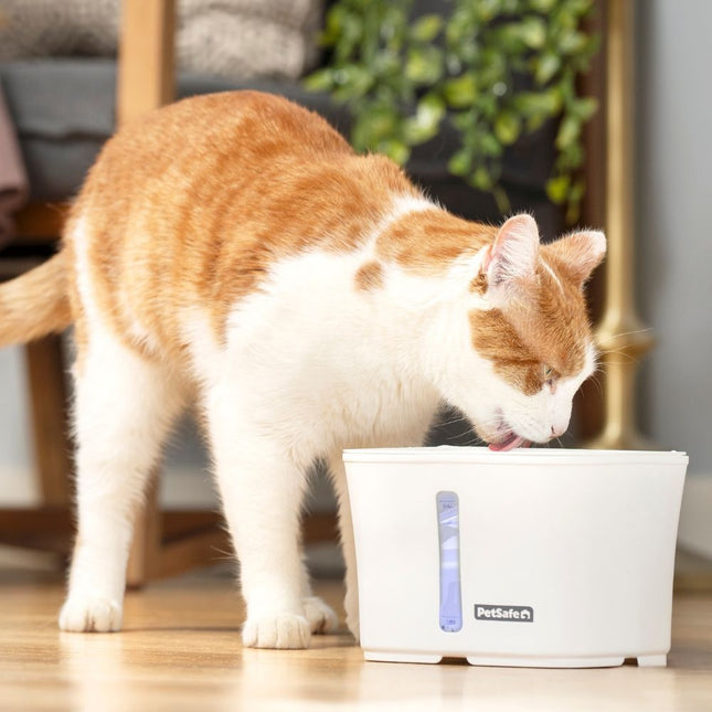 Viva™ Pet Fountain 1.8 L