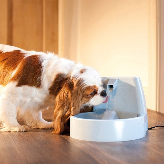 Original Pet Fountain - 1.5 L