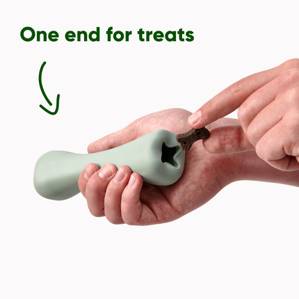 Treat Bone