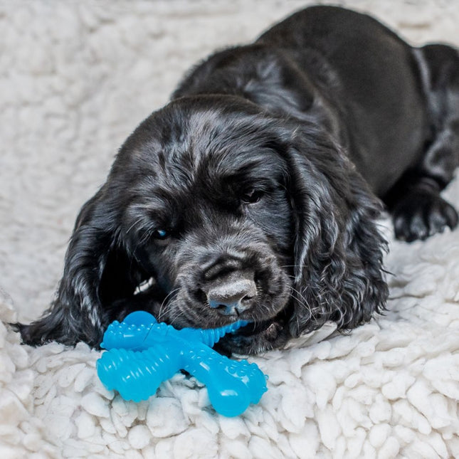 Puppy Chew X Bone Beef