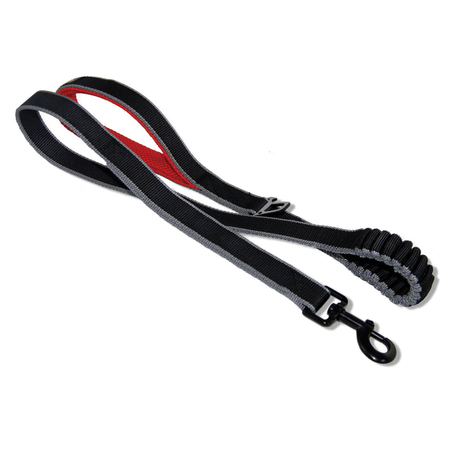 Springback Leash
