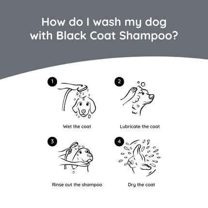 Hondenshampoo Black Coat 270 ml