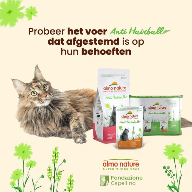 Anti Hairball Natvoer Kat - Multi Pack - 10 x 6 x 70g