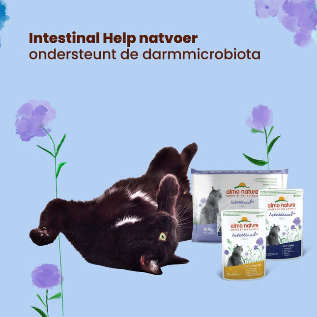 Intestinal Help Natvoer Kat - Multi Pack - 10 x 6 x 70g
