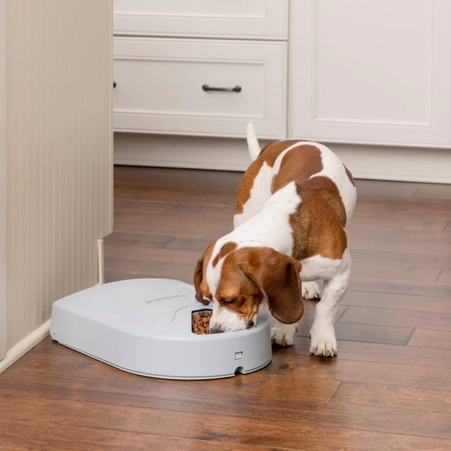 5-Meal Pet Feeder