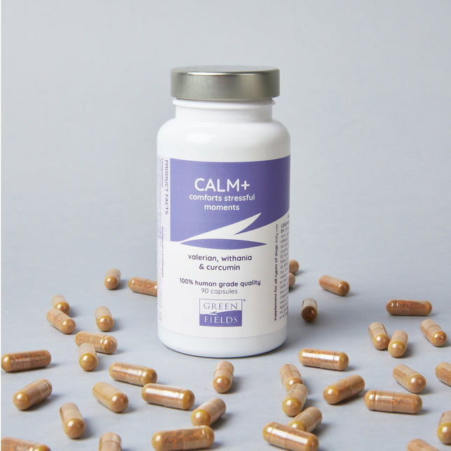 Calm+ tegen stress bij honden