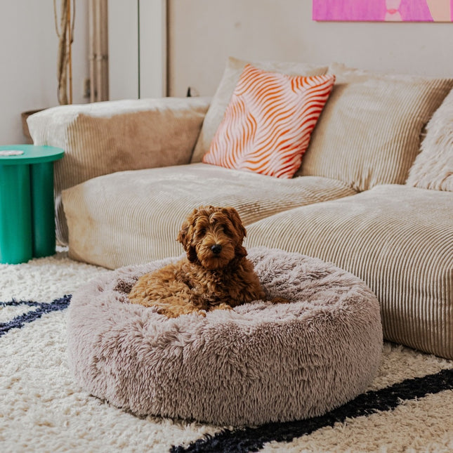 FUZZ 2.0