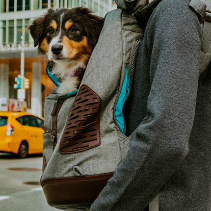 Rucksack