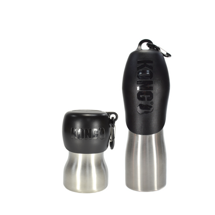 H2O Stainless Steel Water Bottle