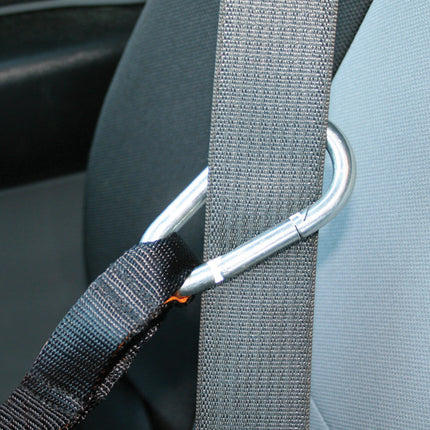 Auto Zip Line für Hunde