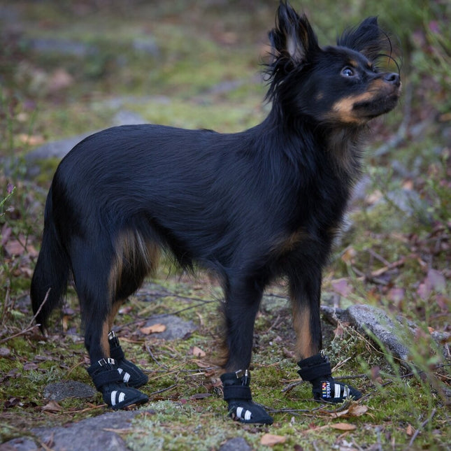Step Shoes