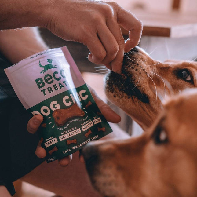 Treats - Dog Choc with Camomile & Quinoa