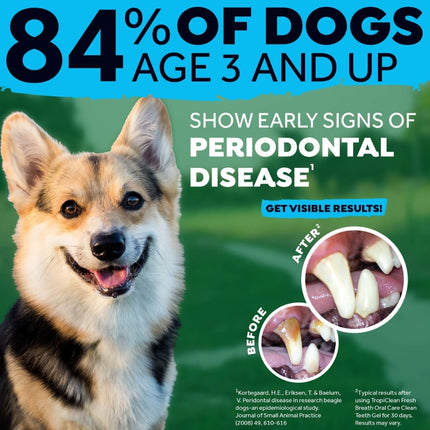Fresh Breath - Oral Care Kit voor kleine honden