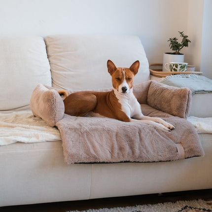 NUZZLE Sofa Bed