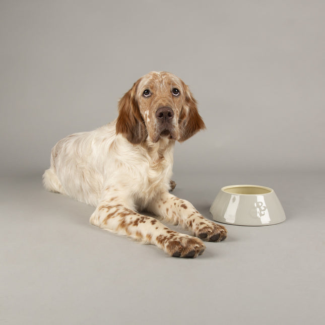 Icon Long Eared Pet Bowl - 4stk.