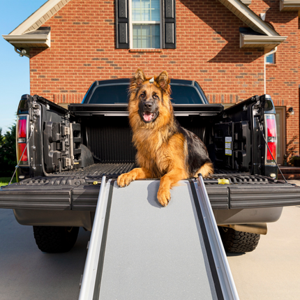 Happy Ride Telescoping Dog Ramp