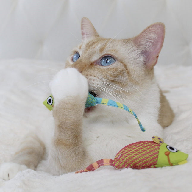 Catnip Chew Mice