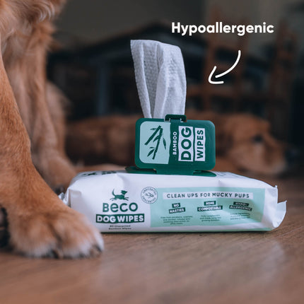 Bamboo Dog Wipes - Unscented - 80 Pack