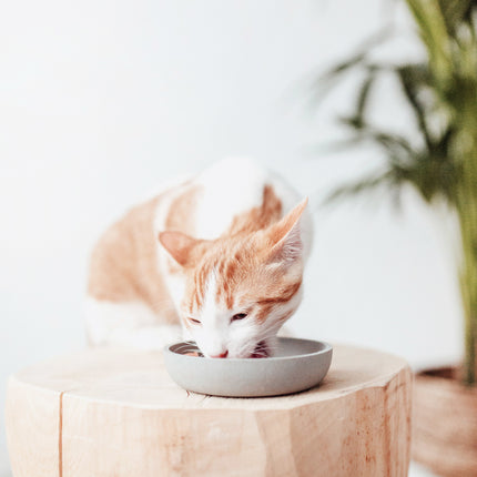 BAMBOO Voerbak voor Katten