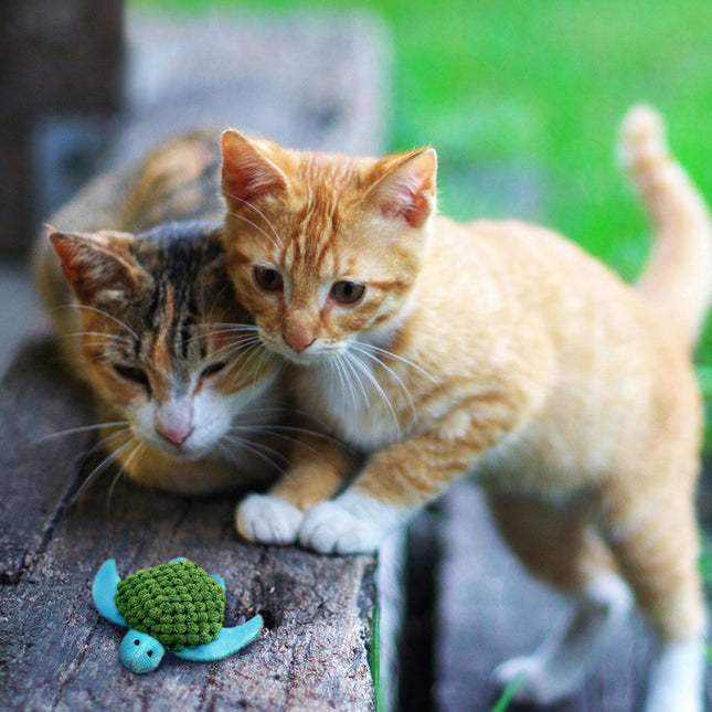 Catnip Refillables Schildpad