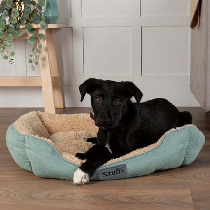 Display Cosy Box Bed Combo - 26 stuks