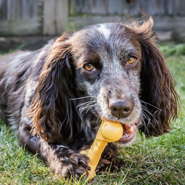 Extreme Chew Cheese Bone