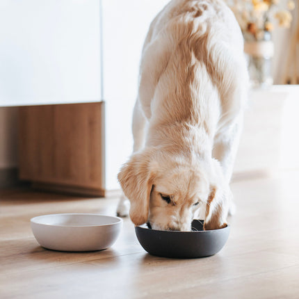 BAMBOO Voerbak voor Honden