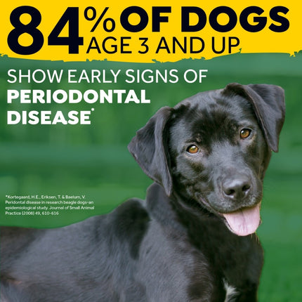 Fresh Breath - Oral Care Foam voor honden